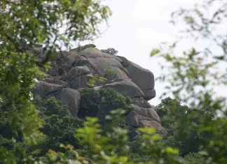Телевизионна премиера на филма за „Лъвско сърце“ Лъвско сърце