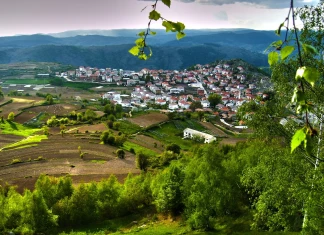 Върни се към природата си