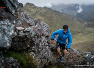 Дизела шести за Световните Серии
