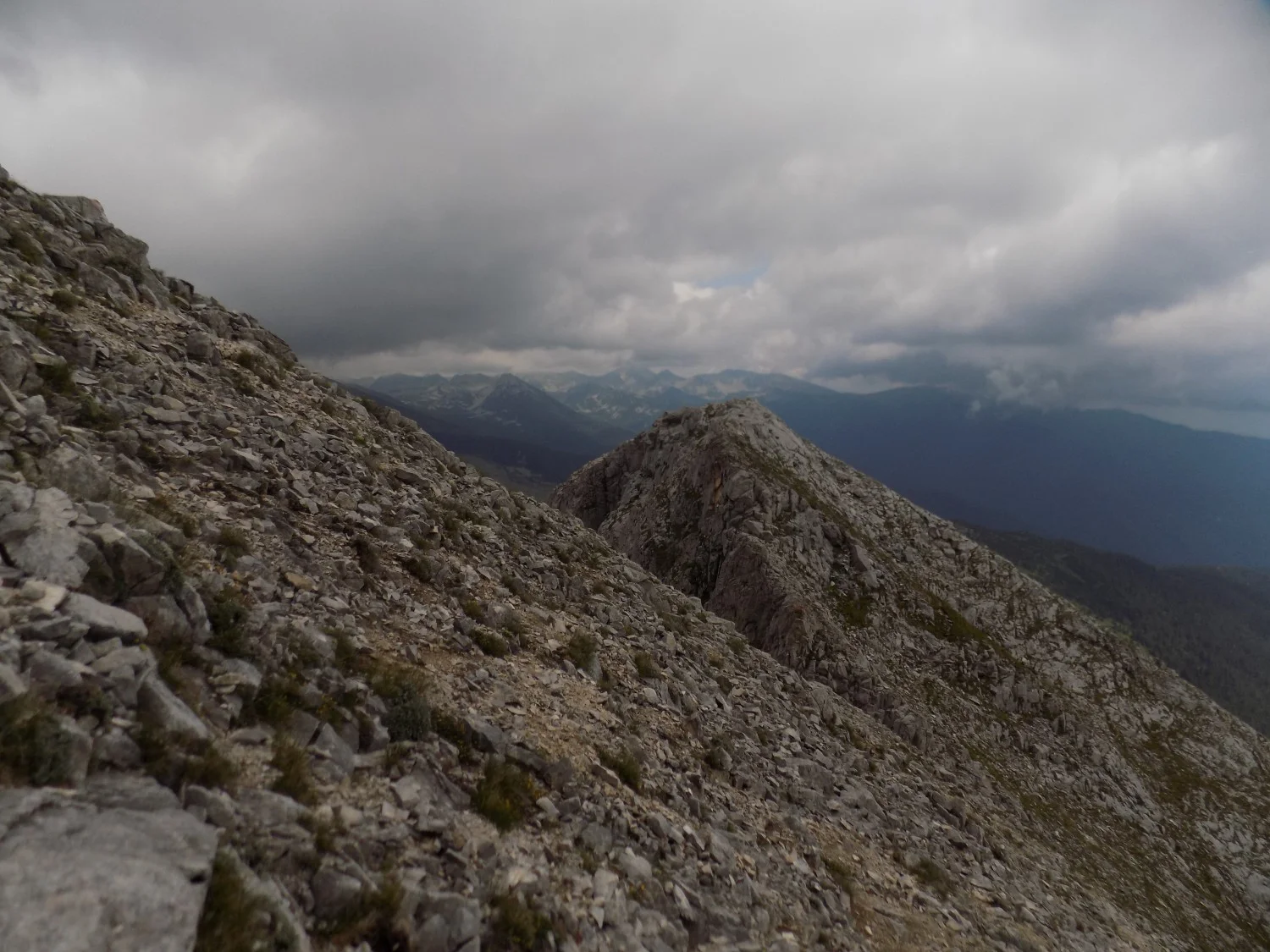 Пътят към връх Синаница