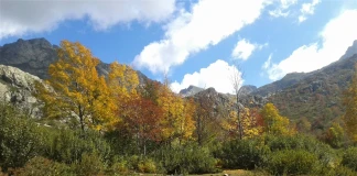 Бягане сред дивата красота на Корсика Монте Ротондо, Корсика