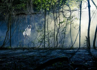 Бруно Хофман, BMX хоръра