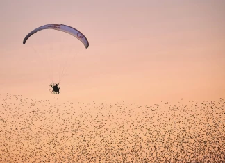 Хорацио Лоренс