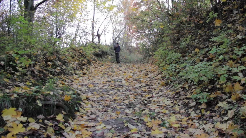 Бродене в гората