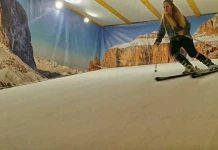 Carve Ski, Board & Bar