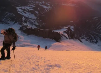 Стейси Беър