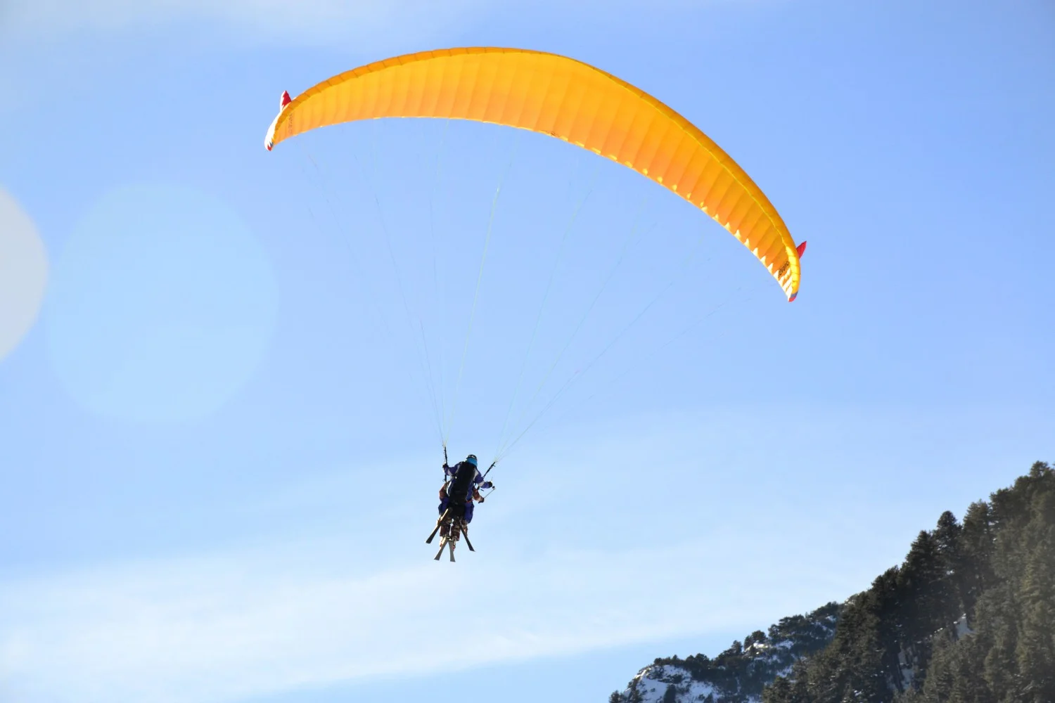 Световно първенство по сноуборд