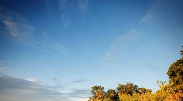 Филип Лхамсурен се подготвя за прегръдката на Амазония Филип Лхамсурен, Експедиция "Амазония"