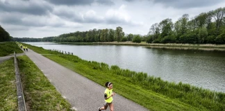 12-седмичното предизвикателство на Wings for Life World Run Wings for Life