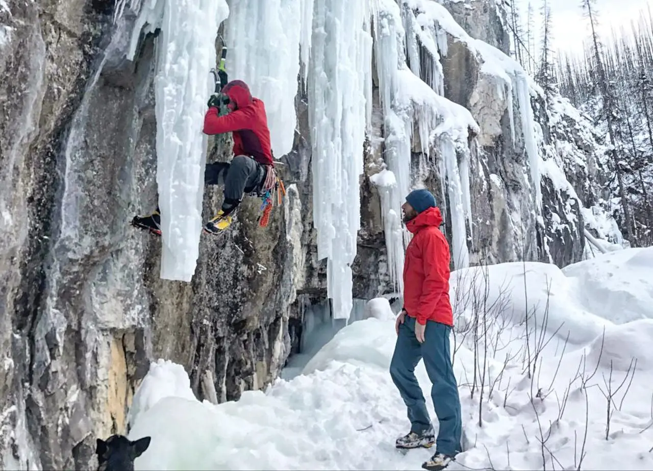 Мат Уестлейк