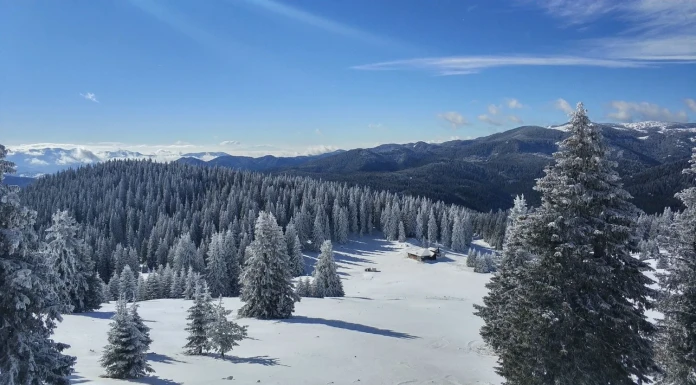 Как се рестартират хора в планината: втора част Office in the Woods