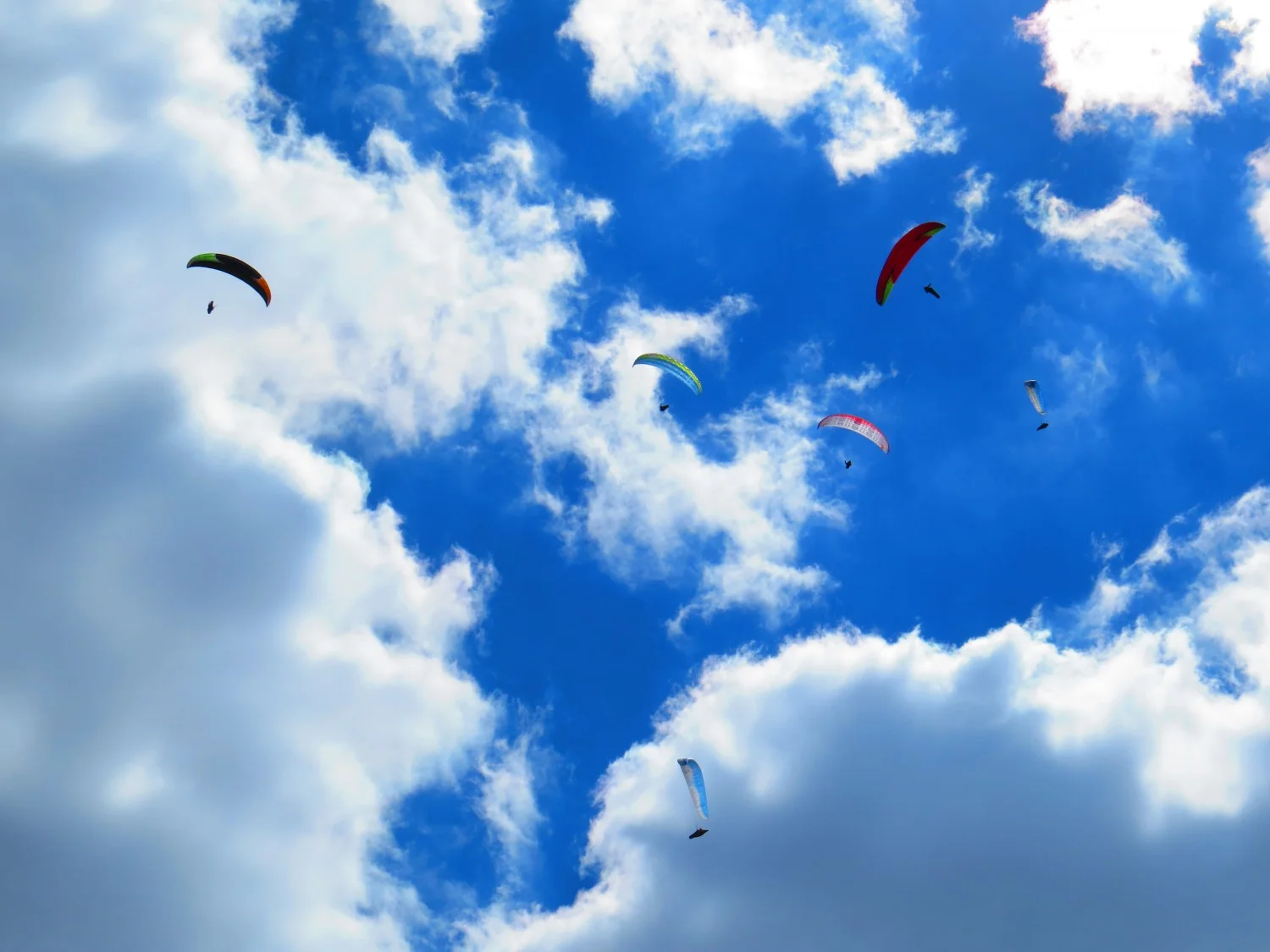 Високо, в облациоте над София снимка:Ира Кюрпанова