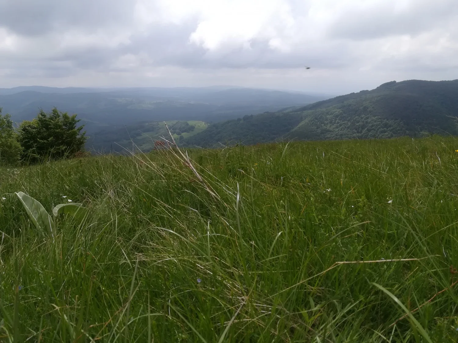 От Железница до Черни връх