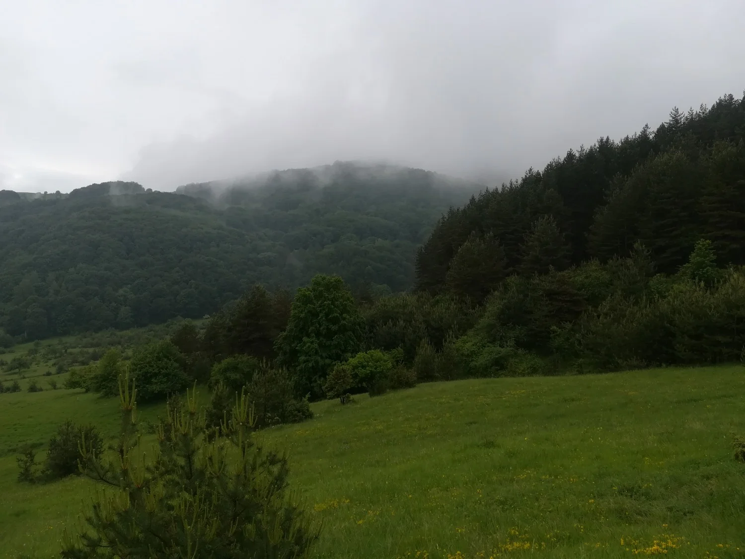 От Железница до Черни връх