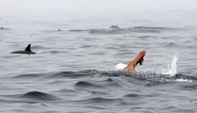 Беноа Льоком