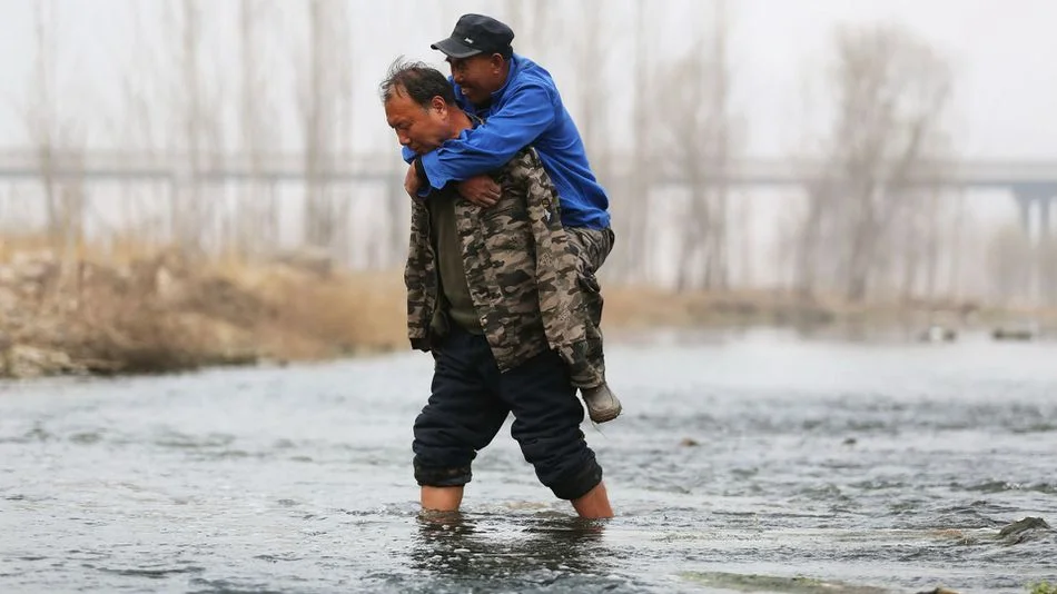 Да вдъхнеш живот на повече от 10 хиляди дървета