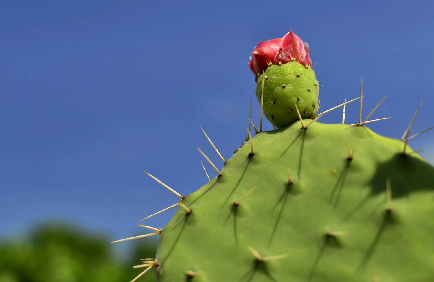 Почивка в Балчик