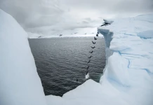 Височинен скок в ледени води Орландо Дюк, скок от айсберг