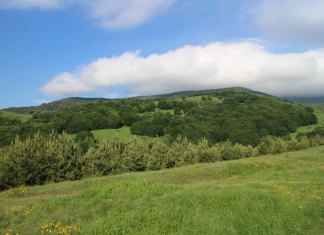 Приключението “По стъпките на Алеко с приятел” По стъпките на Алеко