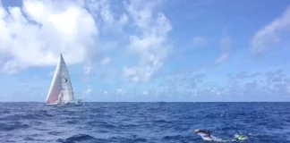 От Япония до САЩ с плуване: какво се случва? От Япония до САЩ с плуване