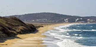 Art Against Plastic организира кампания по почистване на Черно море Черно море