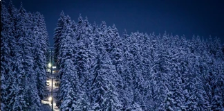 Мартинови Бараки Експрес