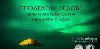 Споделени ледове