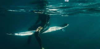 Студеното време е време за сърф О'Нийл