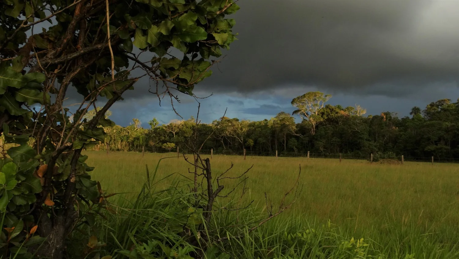 SoAVDNETUROUS: джунгли, индианци и досадни папагали