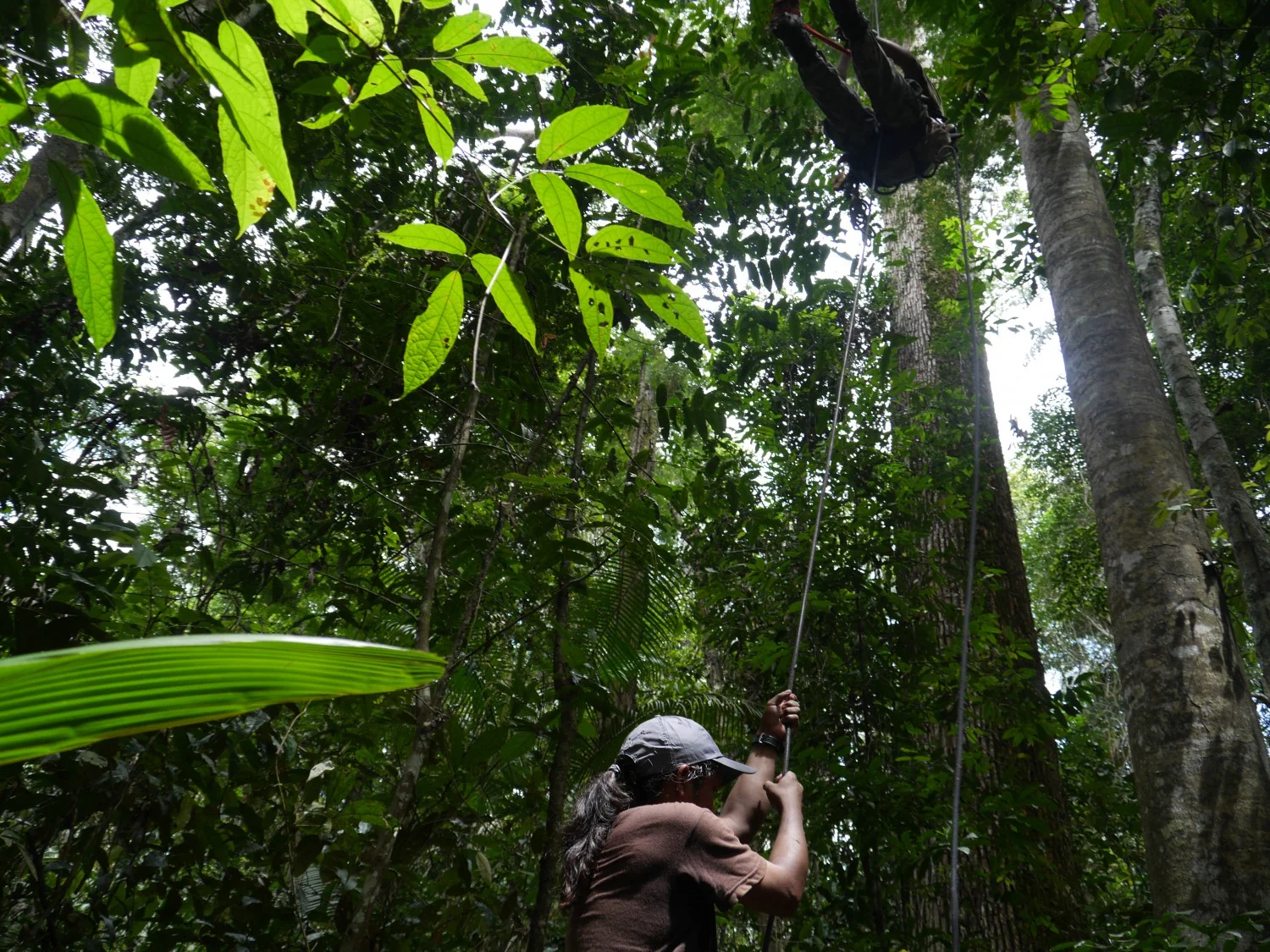 SoADVENTUROUS: джунгли, индианци и досадни папагали