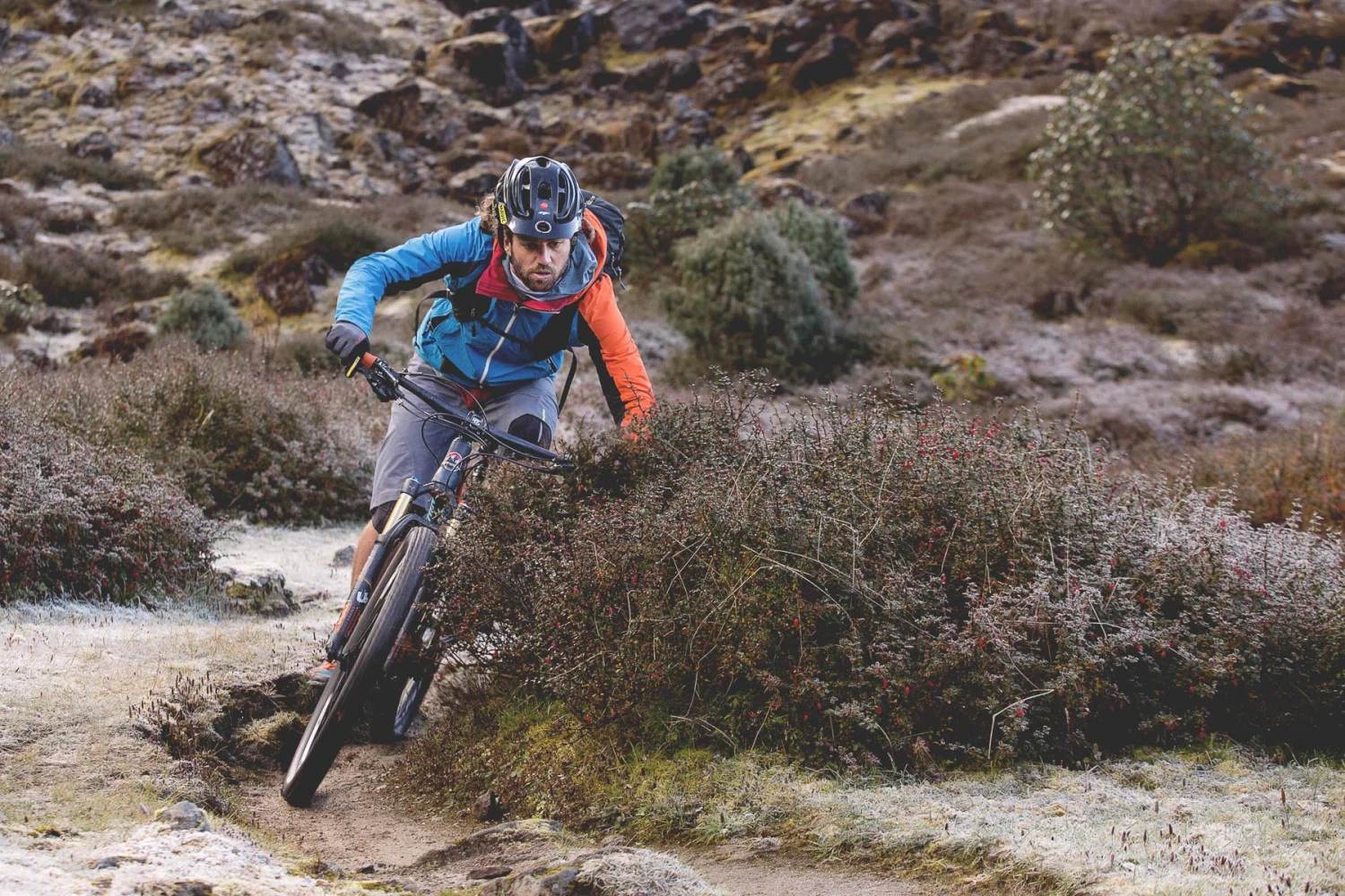 Тито Томази