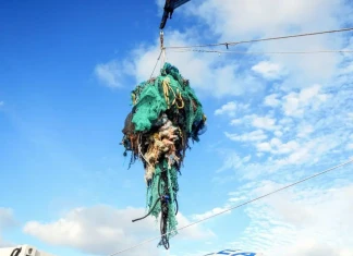 90% по-чисти океани до 2040 г. Ocean Cleanup / източник FORBS