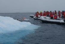 Петър Стойчев победител на първото състезание по плуване в Антарктида