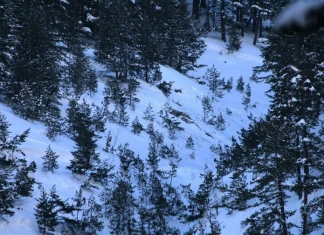 Анализ лавинен инцидент