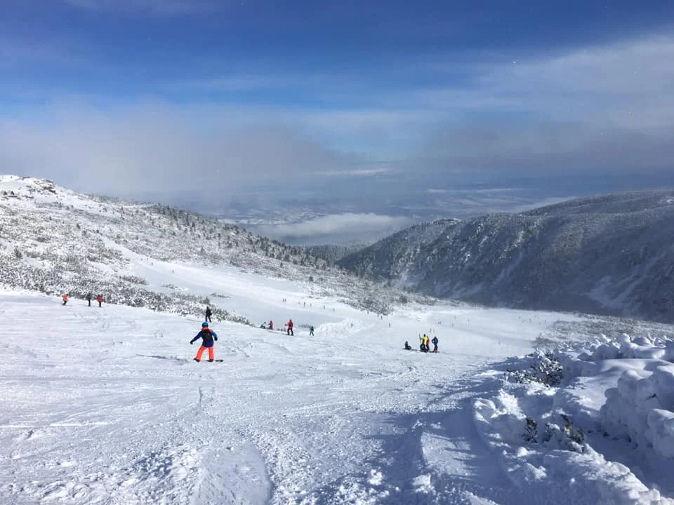 Включване от Боровец