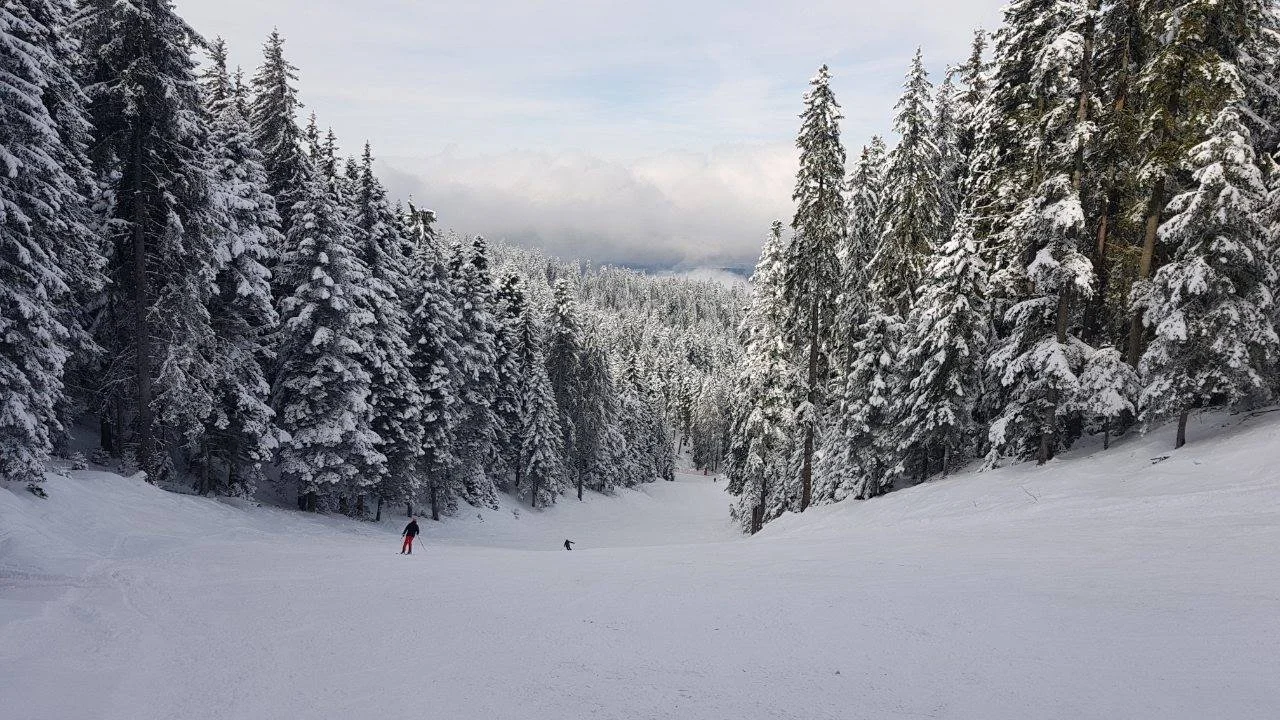 Включване от Боровец
