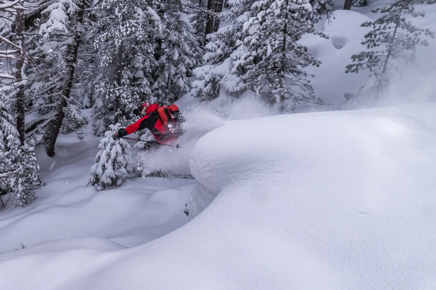 Седмица на свободния дух