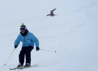 360° видео селекция (част 3)