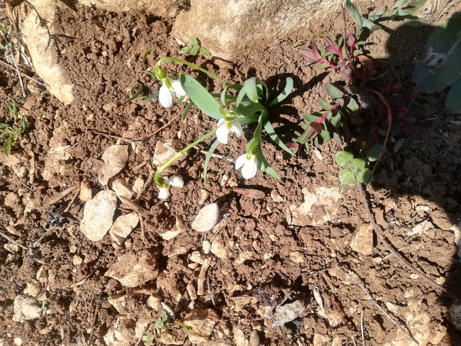 Хотнишка екопътека