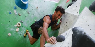 Даниел Рикардо