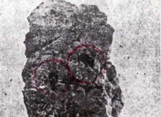 360° уикенд прогноза