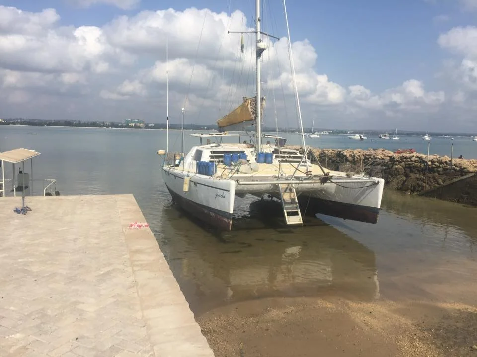 Стефан Раев