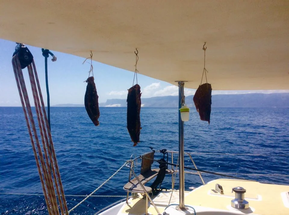 Стефан Раев