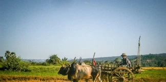 Бурмийски дни