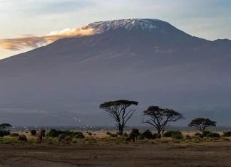 Танзания: С лифт до Килиманджаро? Килиманджаро