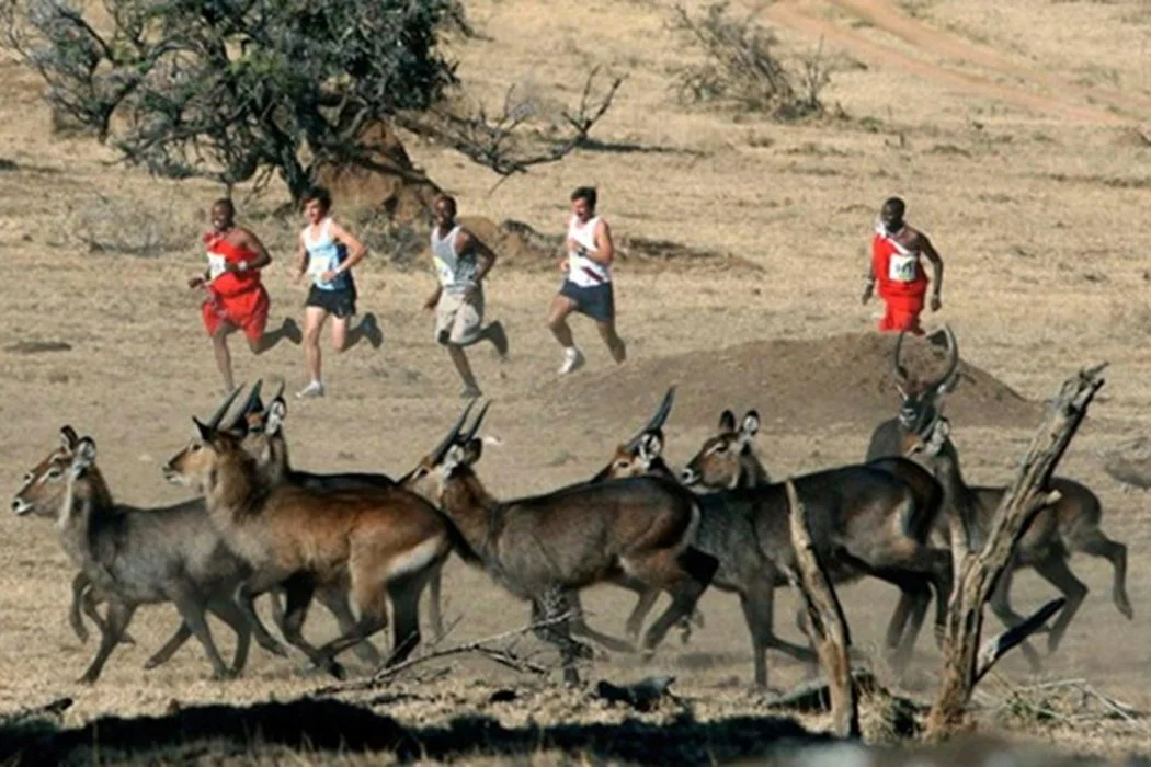 Дестинации за пътешествия