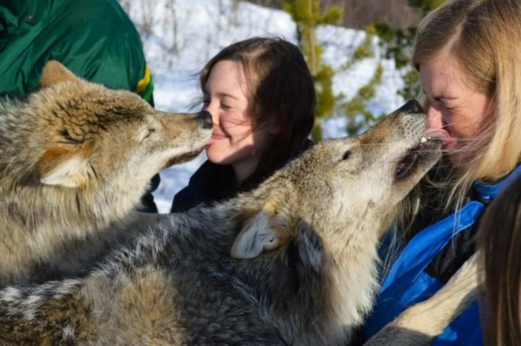 Дестинации за пътешествия