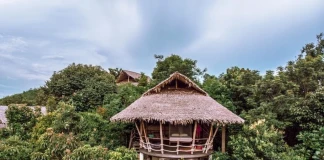 8 от най-екзотичните дървесни хотели по света