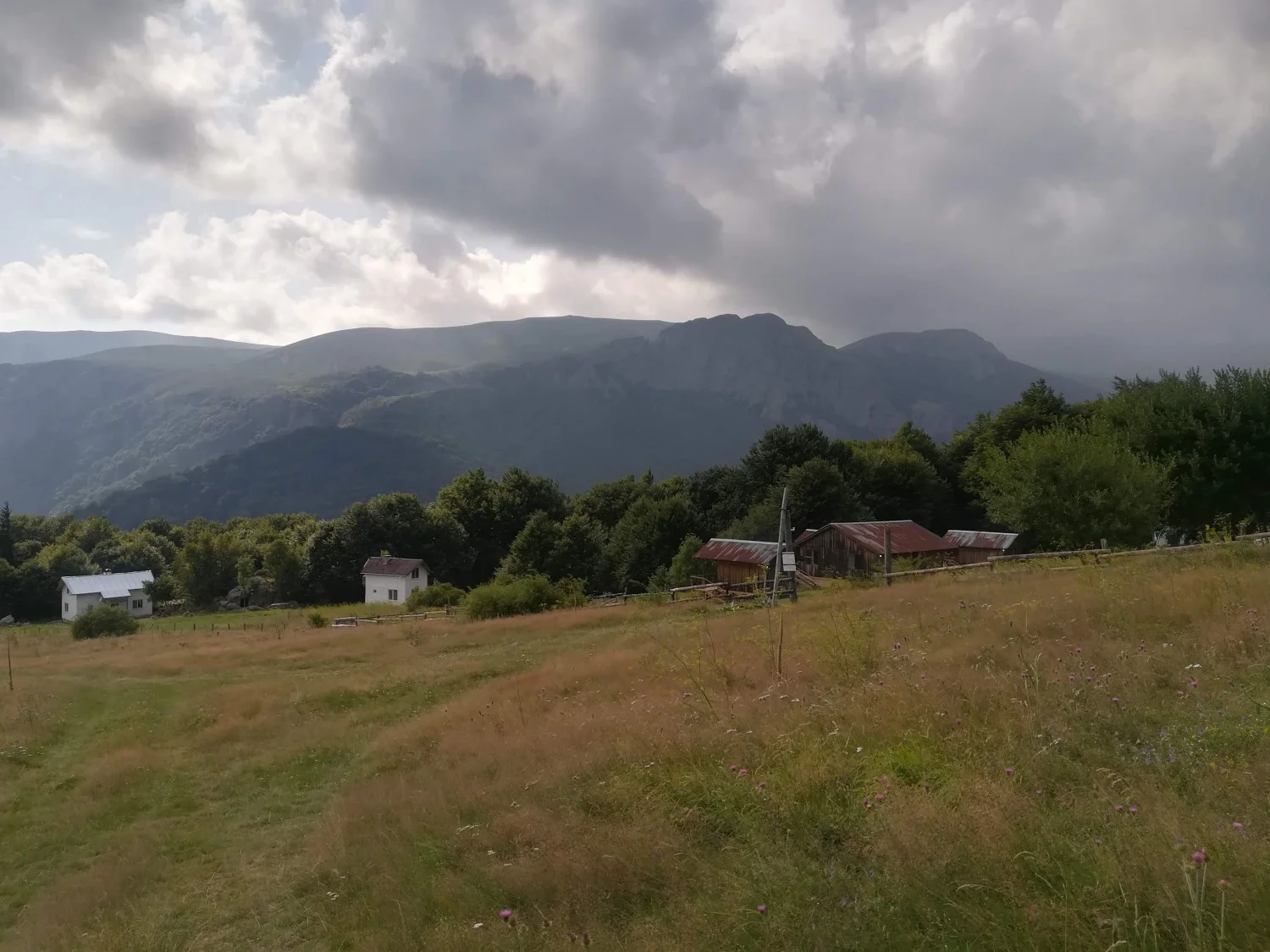 Бабско пръскало