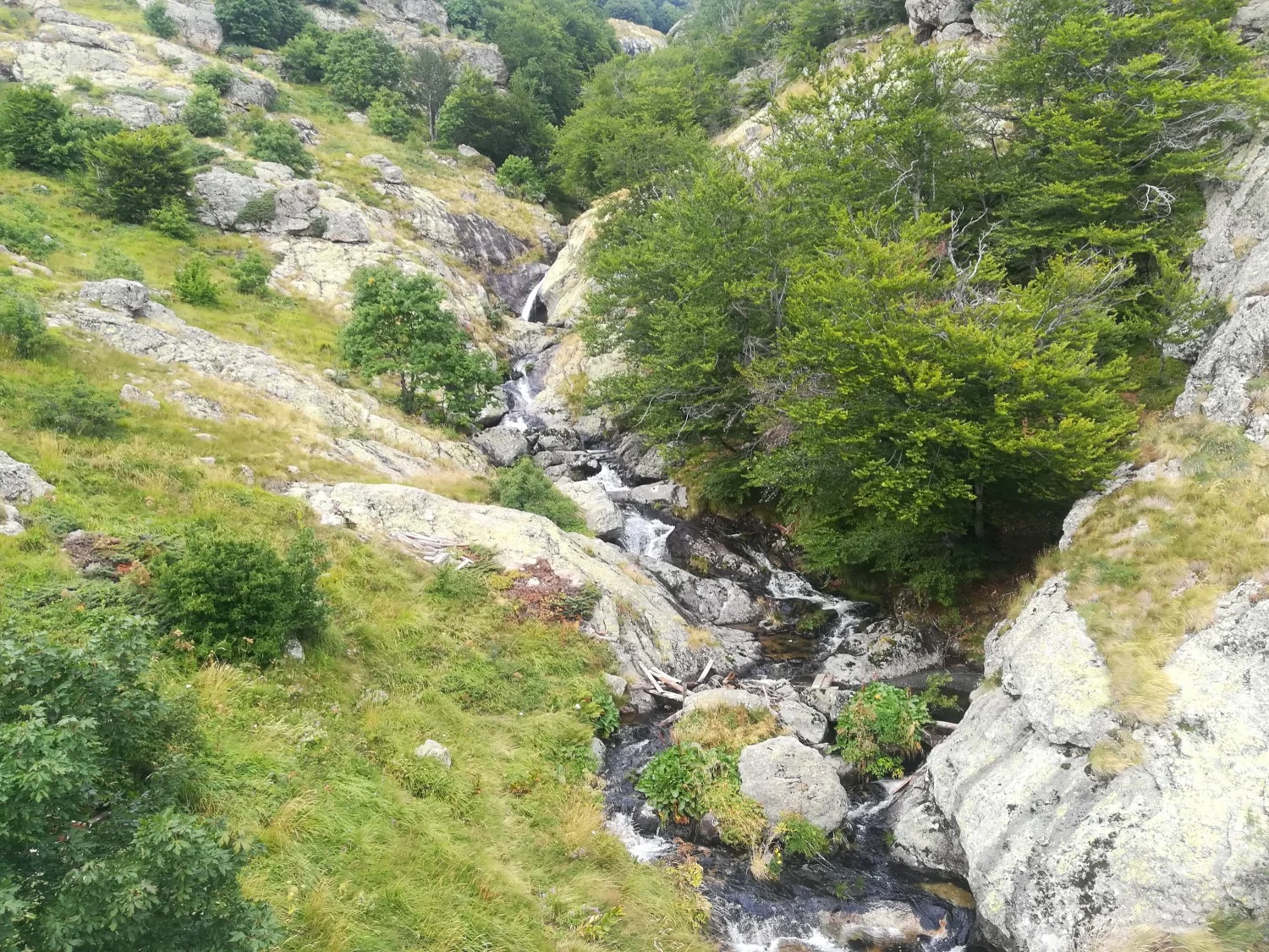 Бабско пръскало